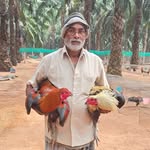 venkataramana gaaru kolla farm - @venkataramanagaarukollafarm2 - Instagram