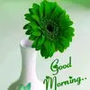 venkat krish - @venkat.krish5 - TikTok