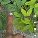 Venkat Krish Krish - Facebook