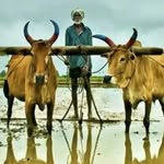 Manda Venkata Ramana - @ramanamandavenkata - Instagram