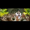 Venkata Raman - @venkataraman1 - TikTok