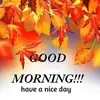 Venu Reddy - @venureddy478 - TikTok