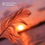 janu - @venugopalpaidimalla21 - Instagram