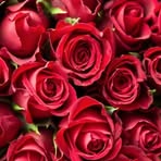 Venus Dabney - Facebook