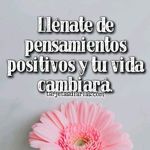 Venus Herrera - @herreravenus05 - Instagram