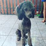 Venus Herrera Lobos - @soyvenusiapatasucia - Instagram