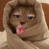 venusherrera - @venusherrerap - TikTok