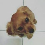 Venus Jimenez Monterrey - @finsta.venus - Instagram