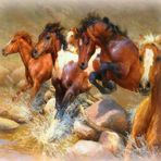 Venus Karam - Facebook