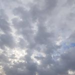 m____88 - @venus_king_ - Instagram