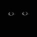 Venus King - Facebook
