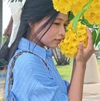Venus Lay - Facebook