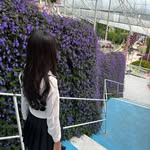 Venus Low - @venus_low0204 - Instagram