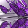 Venus 🦋 - @venuslynn192 - TikTok