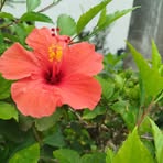 Venus Miranda - Facebook