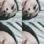 venusocampo65 - @ev_nqz65 - Instagram