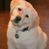 venusponce171 - @venusponce171 - TikTok