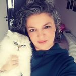 Gülay Komşuoğlu - @venus.royal.cat - Instagram