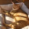 Venus.torres - @venus.torres - TikTok