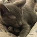 Venis Wallace - Facebook