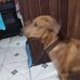 Wallace Vinas - Facebook