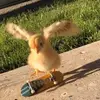 Vênus Wallis - @venuswallis - TikTok