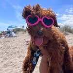Venus Woods - @venus_thedoodle - Instagram