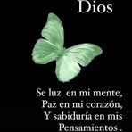 Alva Vera - Facebook