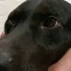 Vera Amado - @vera.amado2 - TikTok