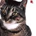 Vera Ames - Facebook