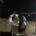 Vera Ananda - Facebook