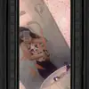 sheyliaarandavera12 - @sheylaarandavera12 - TikTok