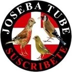 Joseba Vera Arias - Facebook