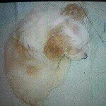 veragen - @vera_arrington - Instagram