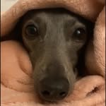 Vera Atkinson - @veratkinson - Instagram