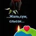 Vera Babich - Facebook
