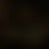 Vera - @vera.bach - TikTok