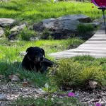 Vera Barker - @verabuenobarker - Instagram