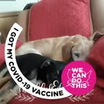 Vera Barker - @vera_barker_ - Instagram