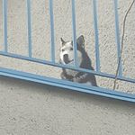 Věra Bartoňová - @vera.bartonova - Instagram