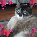 Vera Brown - @vera.brown.7127 - Instagram