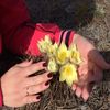 Вера - @vera_buts - TikTok