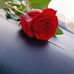 Vera Cabral - Facebook