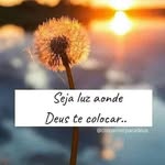 Vera Cabral - @vera.cabral.31105 - Instagram