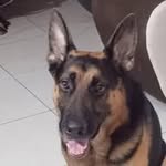 Vera Calderón - @yaumervera71 - Instagram