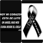 Vera Calderon - @calderon_vera - Instagram
