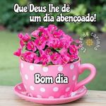 Vera Campos - @verapassoscampos - Instagram