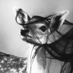 Vera/Bambi - @veracarreras - Instagram