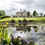 Vera Cassidy - @lavender.manor - Instagram