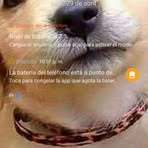 Felipe Vera Chacon - Facebook